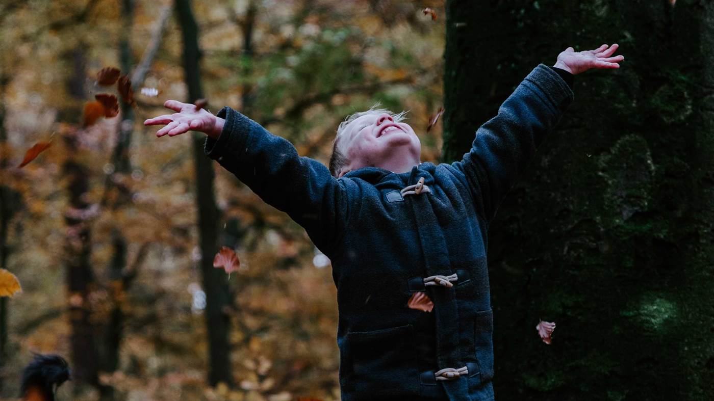 boy throwing leaves in the woods