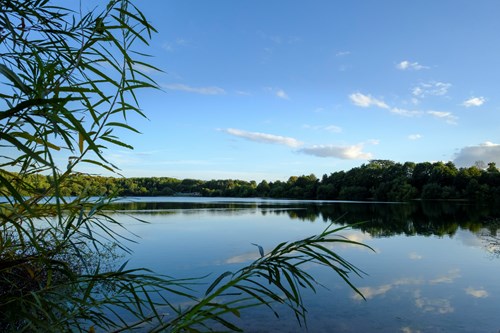 Congleton Lake